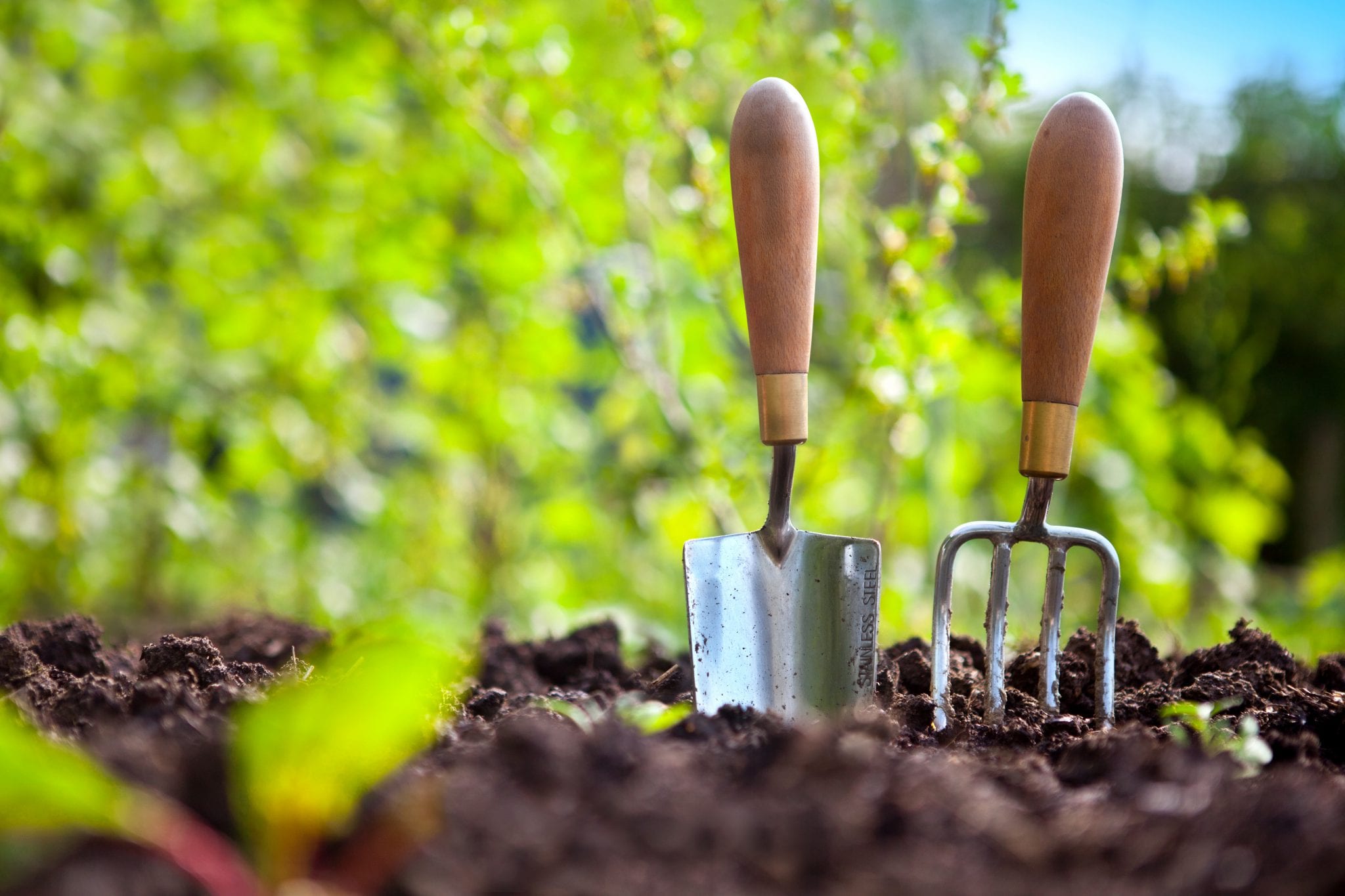 Garden Equipment Uckfield