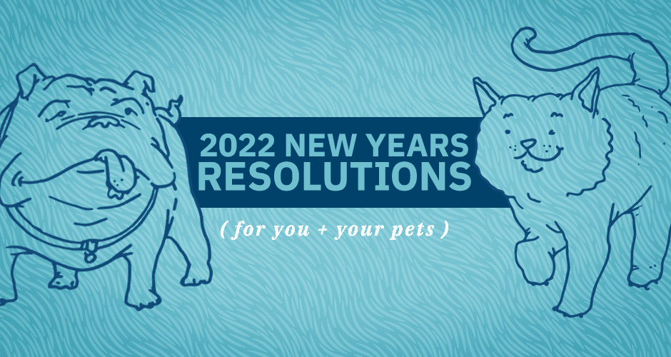 2022 New Year’s Resolutions for You + Your Pets