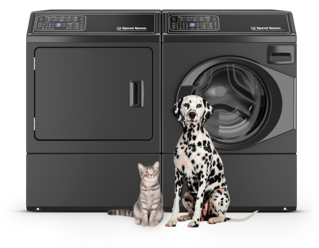 dalmatian and tabby sitting in front of washer and dryer set