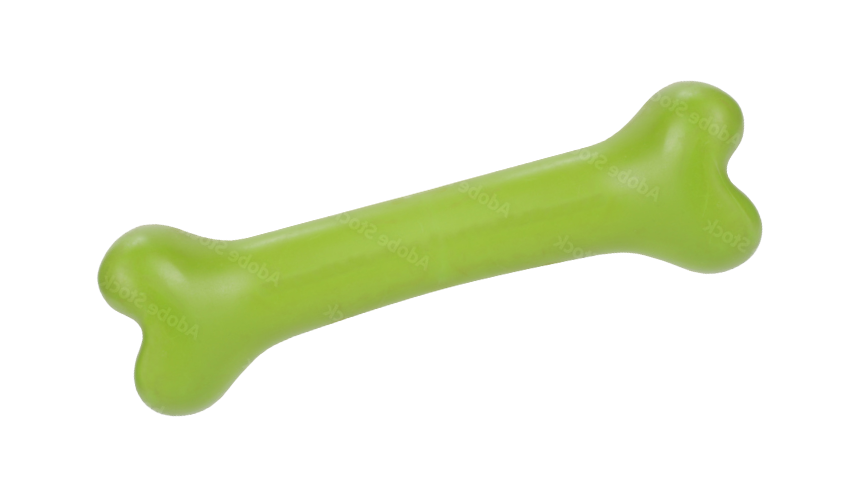 green dog bone toy