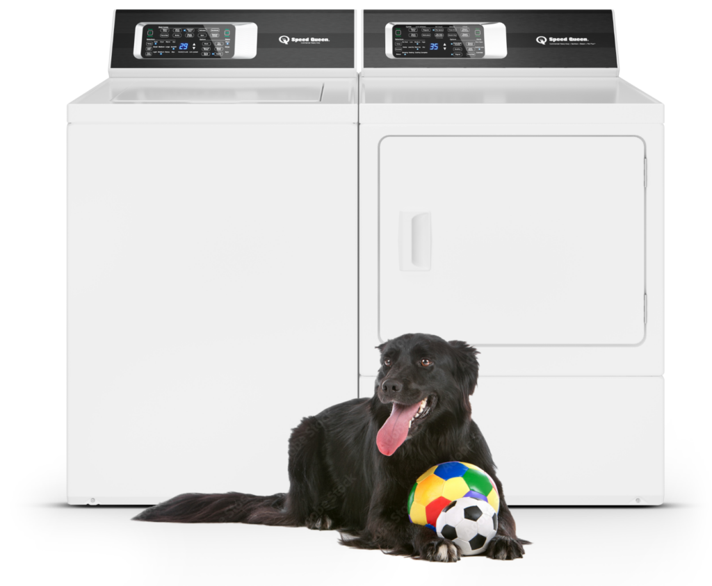 long haired black dog in front of washer and dryer set